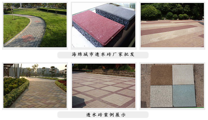 你這小暴脾氣,也就我能治住你!